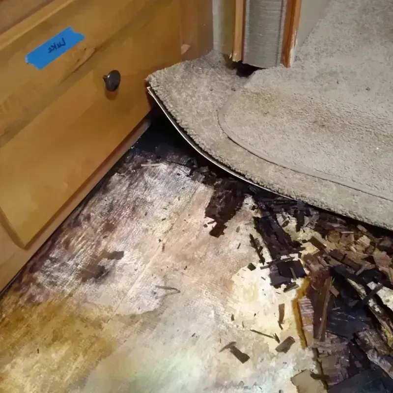 Wood Floor Water Damage in Maxwell, CA